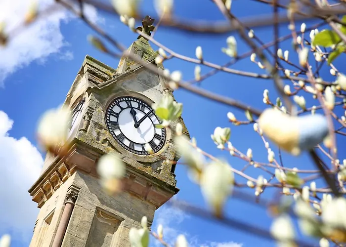 - Bakery Сasa de vacaciones *